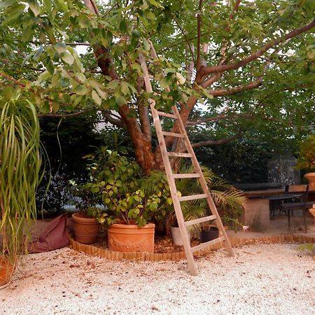 Jardin Vieux Port Panier Hotel Marseille Kültér fotó