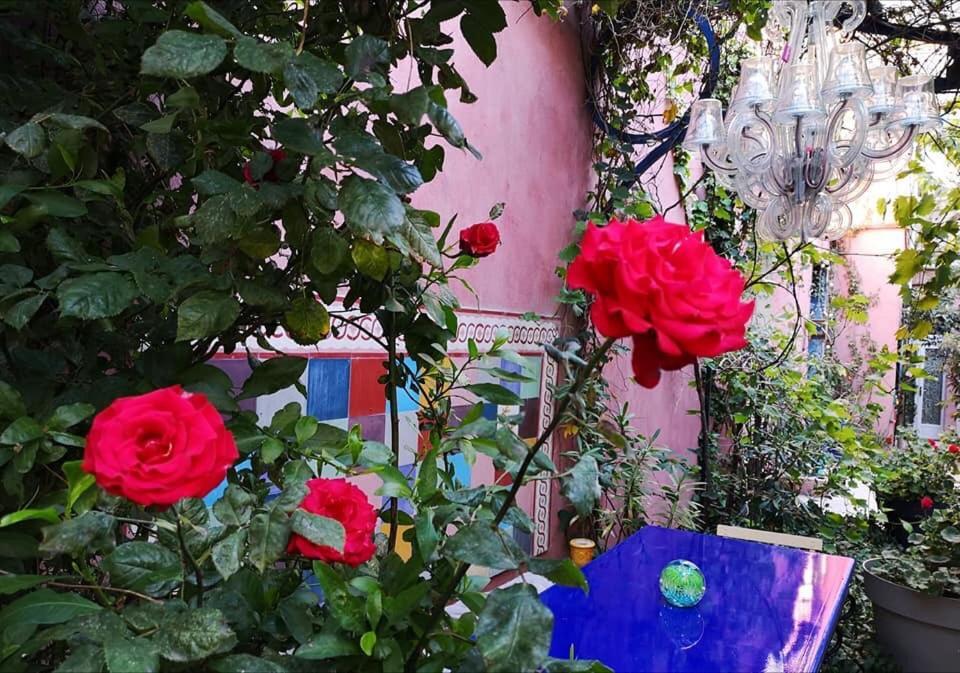 Jardin Vieux Port Panier Hotel Marseille Kültér fotó